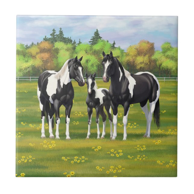Black Pinto Paint Quarter Horses In Summer Pasture Tile (Front)