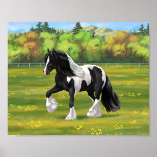 Black Pinto Piebald Gypsy Vanner Draught Horse Poster