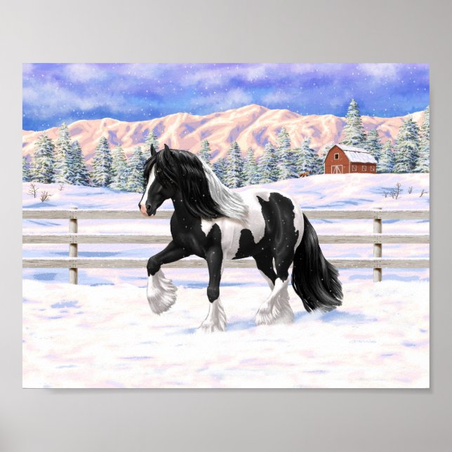 Black Pinto Piebald Gypsy Vanner Draught Horse Poster (Front)