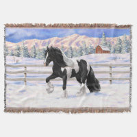 Black Pinto Piebald Gypsy Vanner Draught Horse