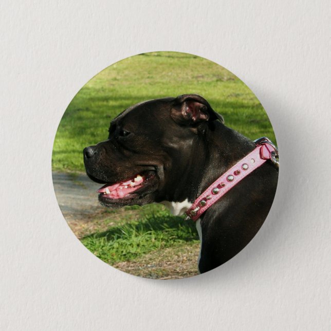 Black Pit Bull 6 Cm Round Badge (Front)
