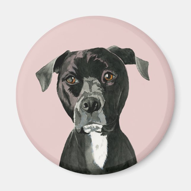 Black Pit Bull Dog Portrait Magnet (Front)