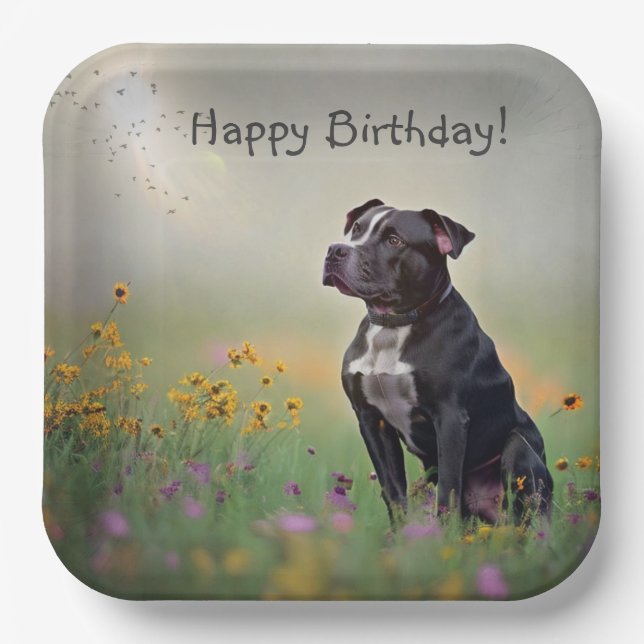 Black Pitbull Birthday Paper Plate (Front)