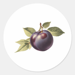 Black Plum with Leaves  Classic Round Sticker