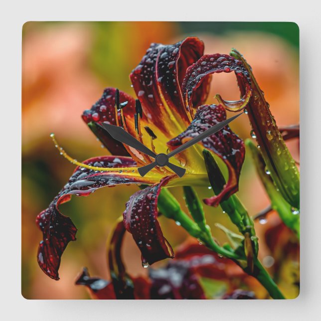 "Black Plush" Daylily Square Wall Clock (Front)