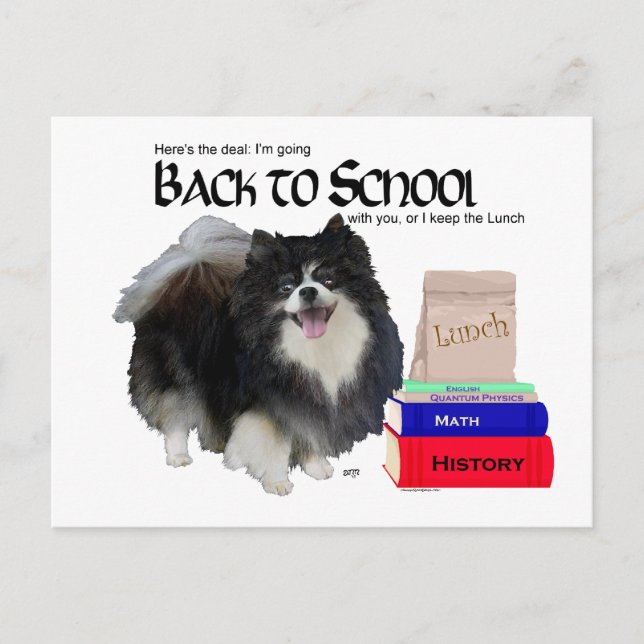 Black Pomeranian Back to School Postcard (Front)