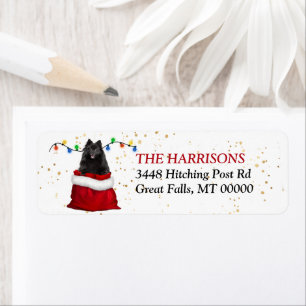 Black Pomeranian Dog in Gift Bag Return Address