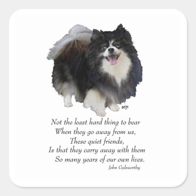 Black Pomeranian Keepsake Square Sticker (Front)