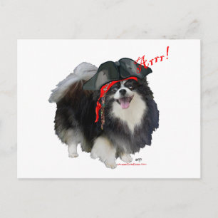 Black Pomeranian Pirate - Arrr! Postcard