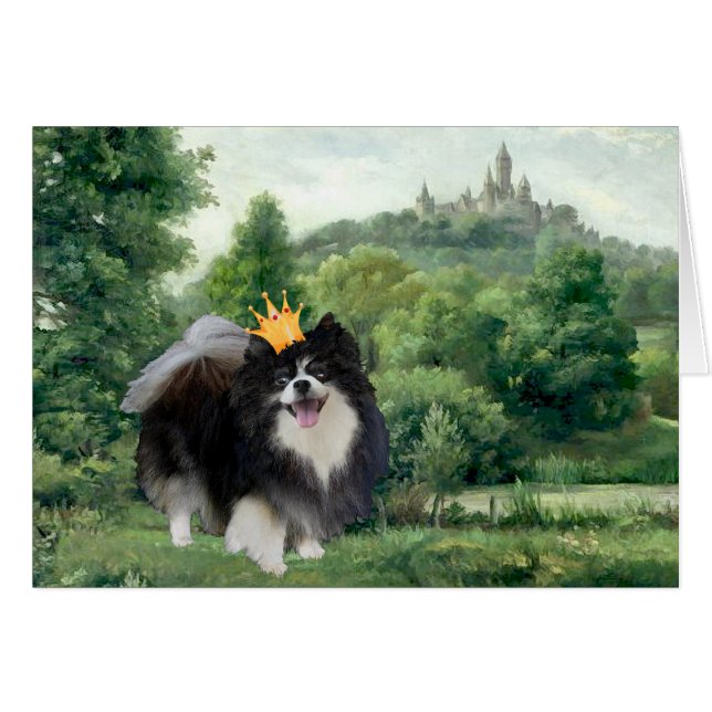 Black Pomeranian Prince (Front Horizontal)