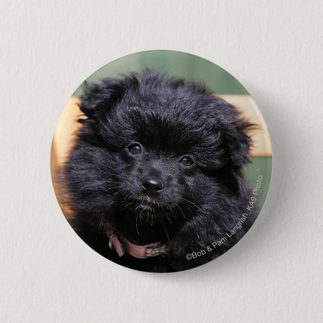 Black Pomeranian Puppy 6 Cm Round Badge (Front)