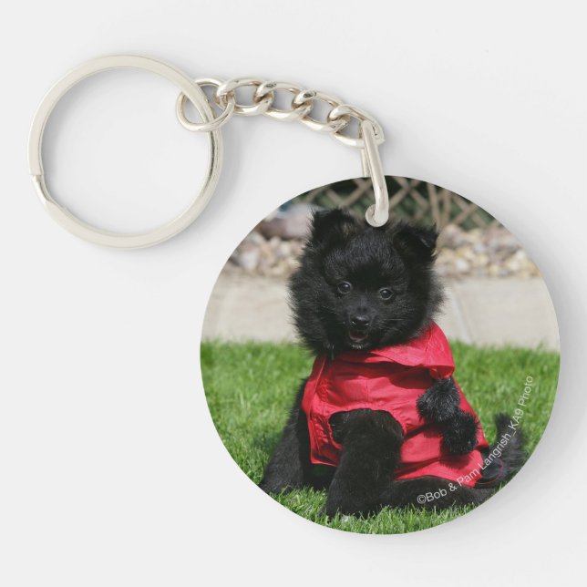 Black Pomeranian Puppy Looking at Camera Key Ring (Front)