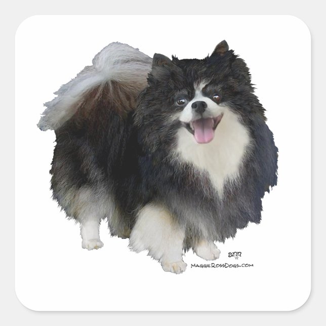 Black Pomeranian Square Sticker (Front)