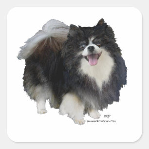 Black Pomeranian Square Sticker