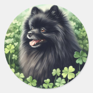 Black Pomeranian St Patricks Day  Classic Round Sticker