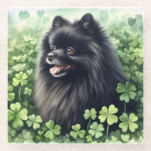 Black Pomeranian St Patricks Day  Glass Coaster