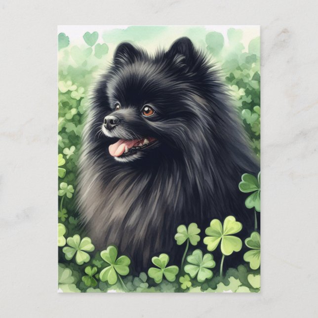 Black Pomeranian St Patricks Day Portrait Postcard (Front)