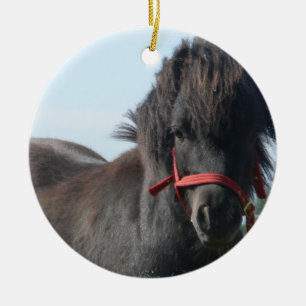 Black Pony Ornament