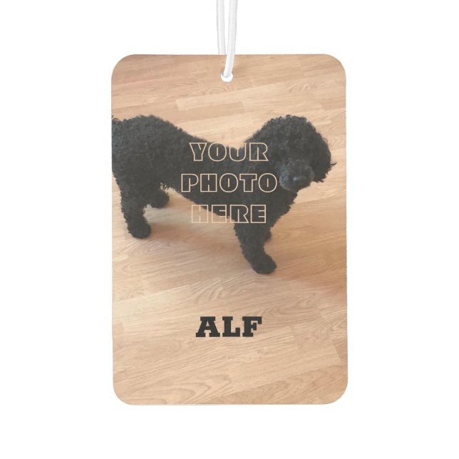 Black Poodle Car Air Freshener (Back)