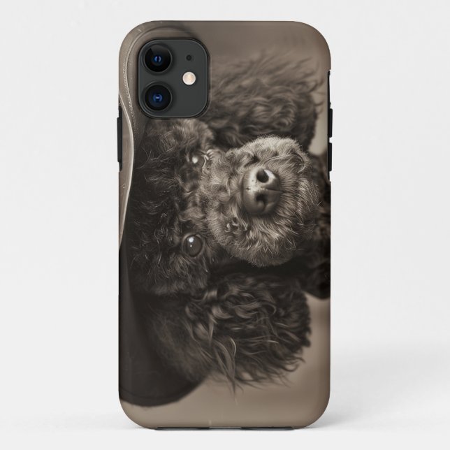Black Poodle Dressed as a Cowboy Halloween Costume Case-Mate iPhone Case (Back)