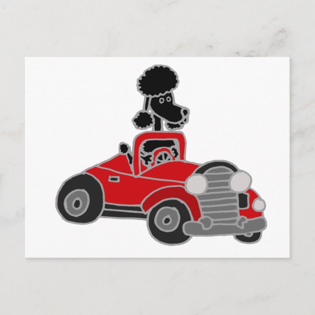 Black Poodle Driving Red Convertible Car Postcard (Front)