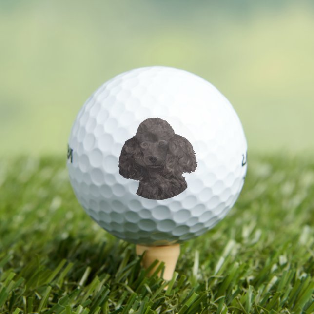 Black Poodle Golf Balls (Insitu Tee)