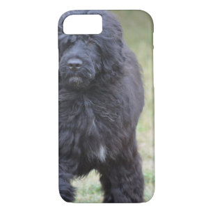 Black Portuguese Water Dog Case-Mate iPhone Case