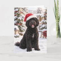 Black Portuguese Water Dog Christmas Card