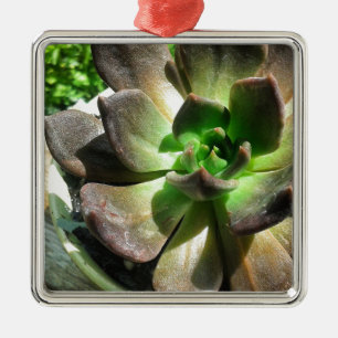Black Prince #succulent Metal Tree Decoration