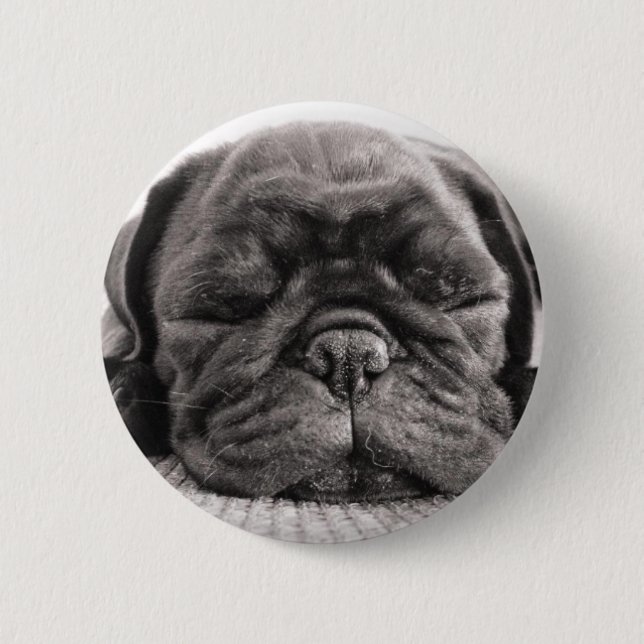 Black pug 6 cm round badge (Front)