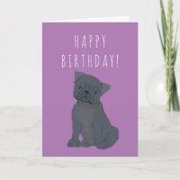 Black Pug Dog Birthday Card
