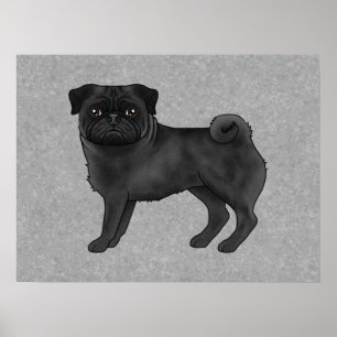 Black Pug Dog Canine Cute Cartoon Illustration Poster