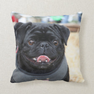 Black pug dog cushion