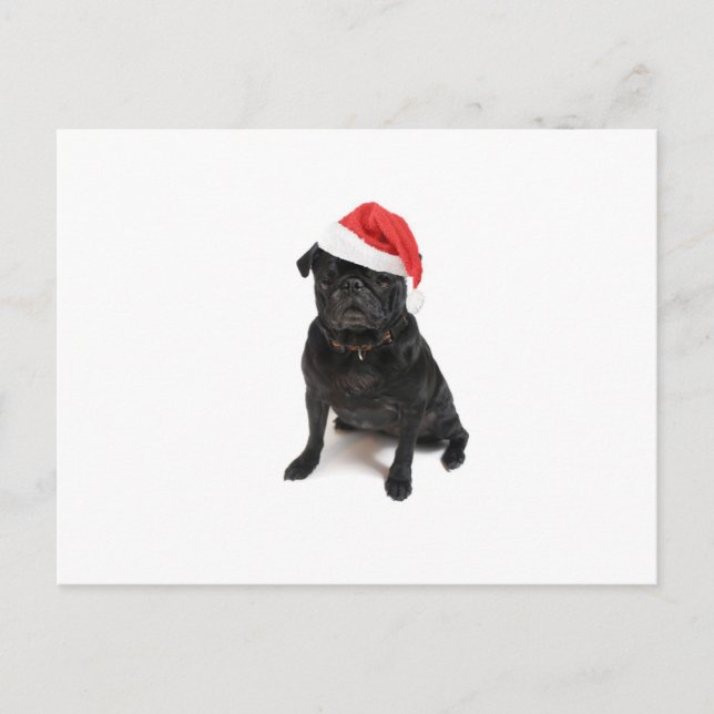 Black pug dog with red santa hat holiday postcard (Front)