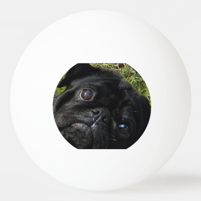 black-pug eyes ping pong ball (Front)