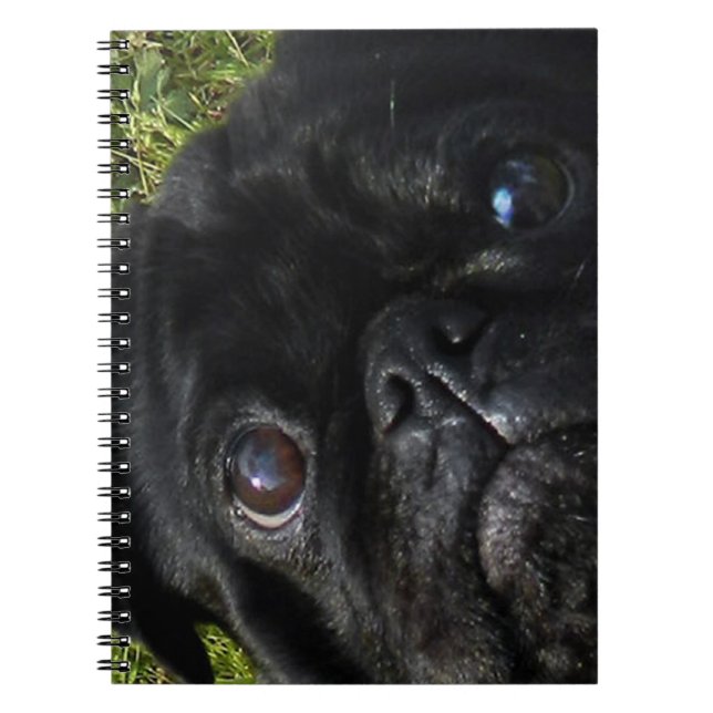 black-pug eyes spiral notebook (Front)