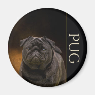 Black Pug Fridge Magnet