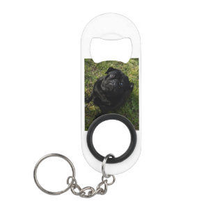 black-pug full.png