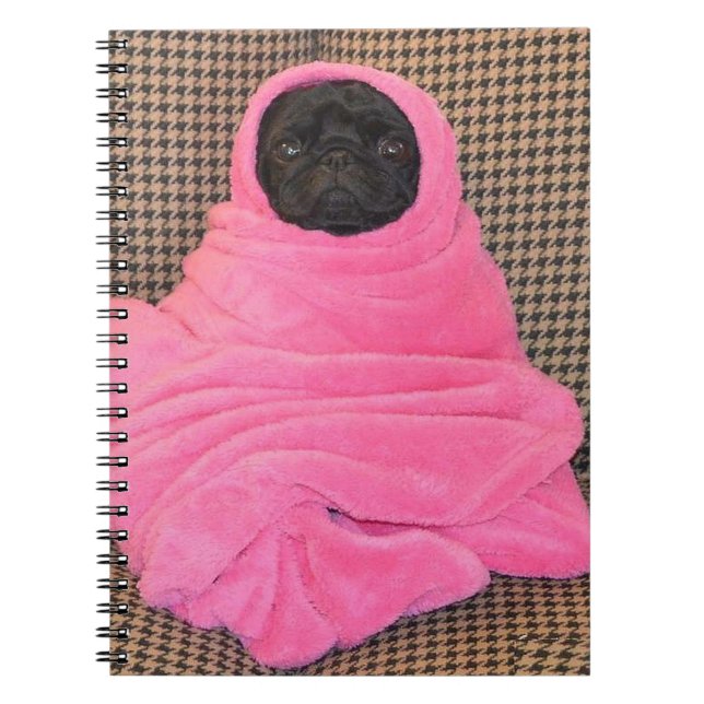 Black Pug in A Pink Blanket Spiral Notebook (Front)