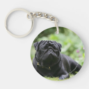 Black Pug Laying Down Key Ring