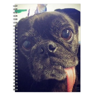 Black Pug Notebook