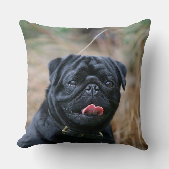 Black Pug Panting While Looking at Camera Cushion (Front)