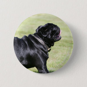Black Pug Panting While Walking 6 Cm Round Badge
