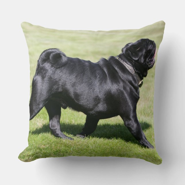 Black Pug Panting While Walking Cushion (Front)
