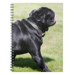 Black Pug Panting While Walking Spiral Notebook