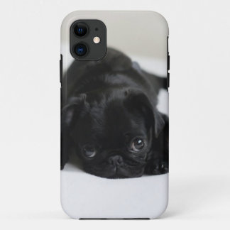 Black Pug Puppy iPhone 11 Case