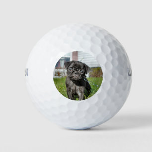 Black Pug puppy Golf Balls