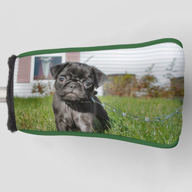 Black Pug puppy Golf Head Cover (Front)