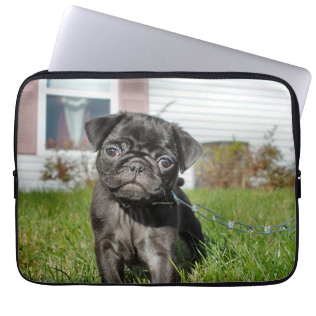 Black Pug puppy   Laptop Sleeve (Front)