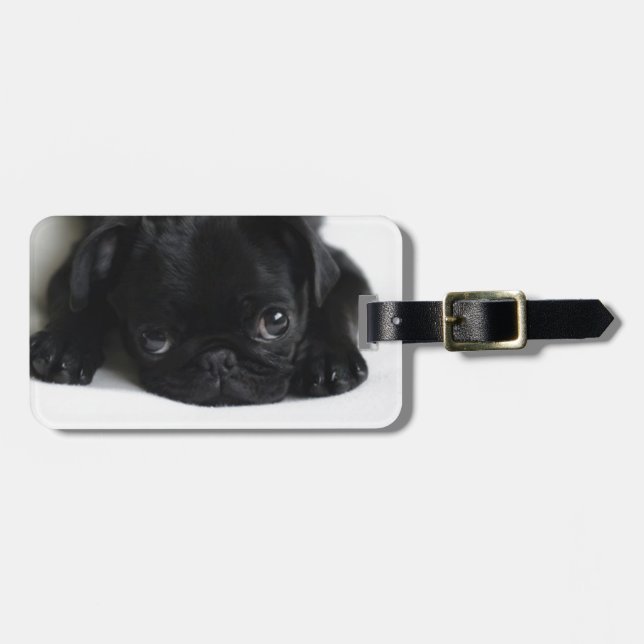 Black Pug Puppy Luggage Tag (Front Horizontal)